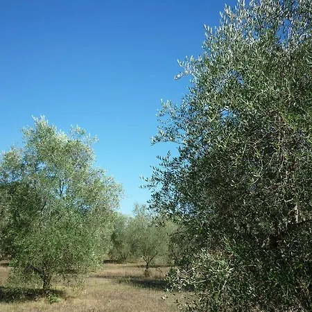 Il Poderetto - Charming House Countryside