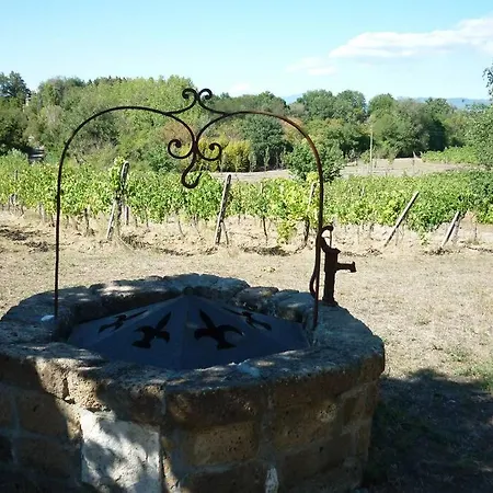 Il Poderetto - Charming House Countryside Semesterbostad Pitigliano